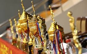 从区域标杆到全国标杆：螃蟹游戏服务网获中国互联网协会会员单位认证